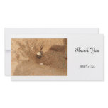 Hermit crab and sands