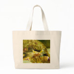 Hermit Crab Bags