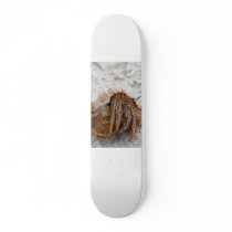 hermit-crab-care skate deck