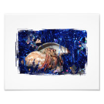 Hermit Crab Christmas Design Against Blue Tinsel Photographic Print