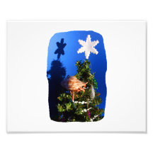 Hermit Crab Climbing Down the Christmas Tree Photographic Print