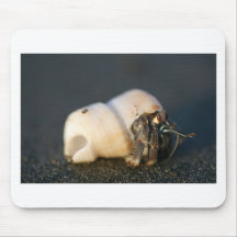 Hermit crab on beach mouse pads