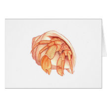 Hermit Crabs Greeting Cards