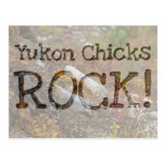 Hermosa Hillside; Yukon Chicks ROCK! Post Card