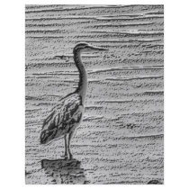 HERON(A) FLYER DESIGN