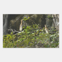 Héron de nuit (3) sticker rectangulaire