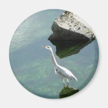 Heron Fridge Magnets