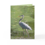 Heron Green Greeting Cards