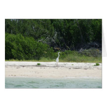 Heron Greeting Card