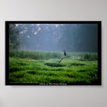 Heron in The Great Swamp Posters