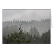Heron in the Mist Cards