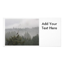 Heron in the Mist Personalized Photo Card