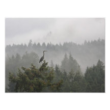Heron in the Mist Photo