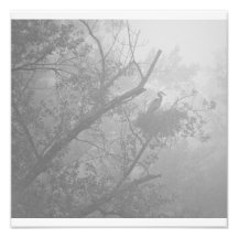 Heron in the Mist Photographic Print