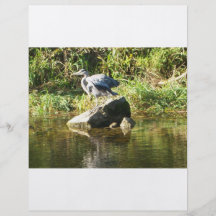 Heron on a rock flyer