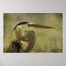 Heron On Texture Posters