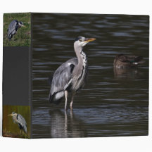Heron Portrait Avery Binder