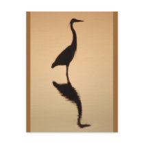 Heron Silhouette