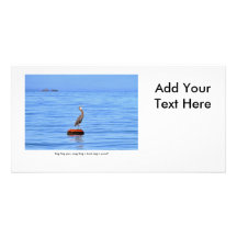 Heron Singing on the Ocean Picture Card