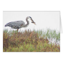 Heron with Fish Card