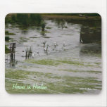 Herons in Harlan Mousepad