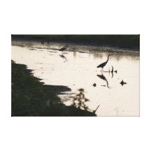 Herons In The Water Gallery Wrapped Canvas