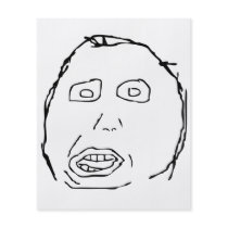 Herp Derp Idiot Rage Face Meme Flyer