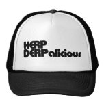 Herp Derp Mesh Hat