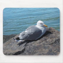 Herring Gull Resting on Rock Jetty: Mouse Pad