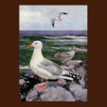 Herring Gulls on Rocky Shoreline posters