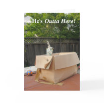 He's Out of Here! Bye Boyfriend Greeting Card