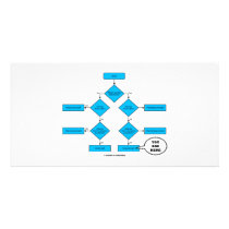 Heterotroph Flow Chart - You Are Here