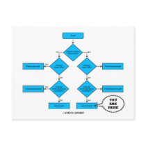 Heterotroph Flow Chart - You Are Here
