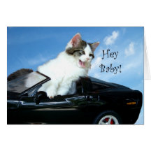 Hey Baby Cute Kitten Card
