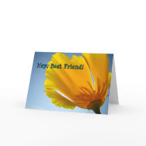 Hey Best Friend! cards Orange Poppy Flowers Card