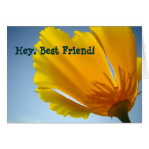 Hey Best Friend! cards Orange Poppy Flowers Card