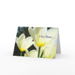 Hey Boss MERRY MERRY MERRY Christmas to You! Greeting Cards