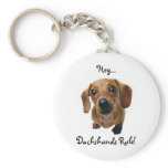 "Hey... Dachshunds Rule!"