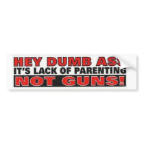 Hey Dumb Ass It's Lack of Parenting not Guns Bumper Sticker