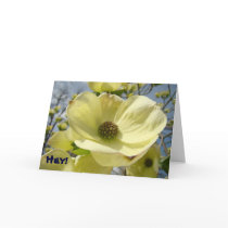 Hey! Friends Rock cards Yellow Dogwood Flowers