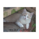 HEY, GUESS WHAT? i MISS YOU postcards