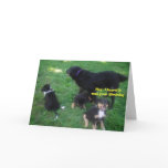 Hey, I heard it was your Birthday Card