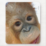 Hey, I'm a Cute Orangutan photo Mouse Pads