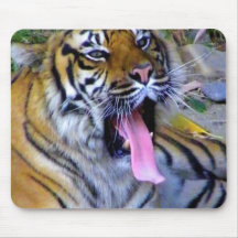 Hey_ Mouse Pads