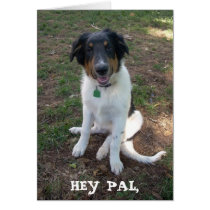 HEY PAL Whazzup! Greeting Card