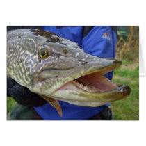 Hey?! Pike, Hecht, Csuka Greeting Card