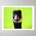 Hey, What Do Ya Say? Print