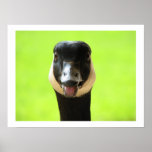 Hey, What Do Ya Say? Print