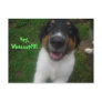 Hey, Whazzup?!!! Post Cards