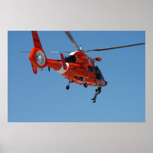 HH-65 Dolphin Print
